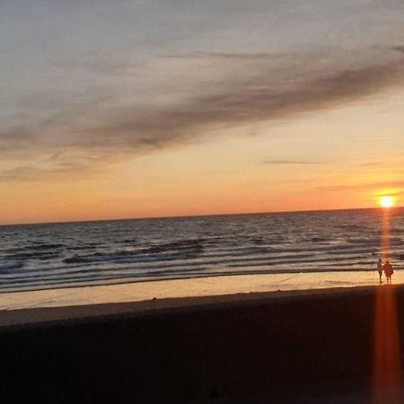 Seaview Paradise 1-Bed Apartment Barmouth Eksteriør bilde